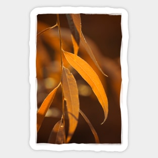 Autumn Leaves Sticker